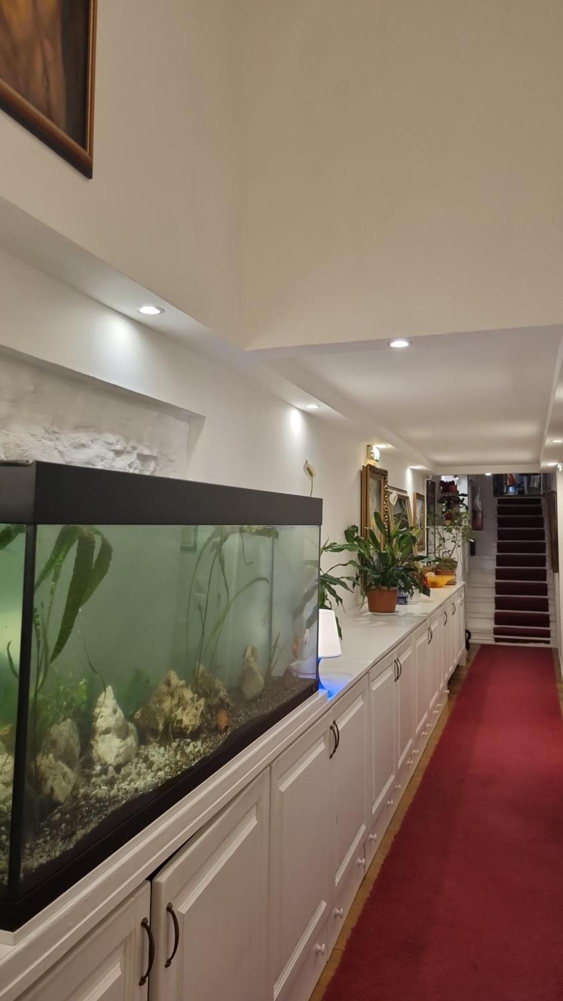Connection Guesthouse Budapeszt Zewnętrze zdjęcie