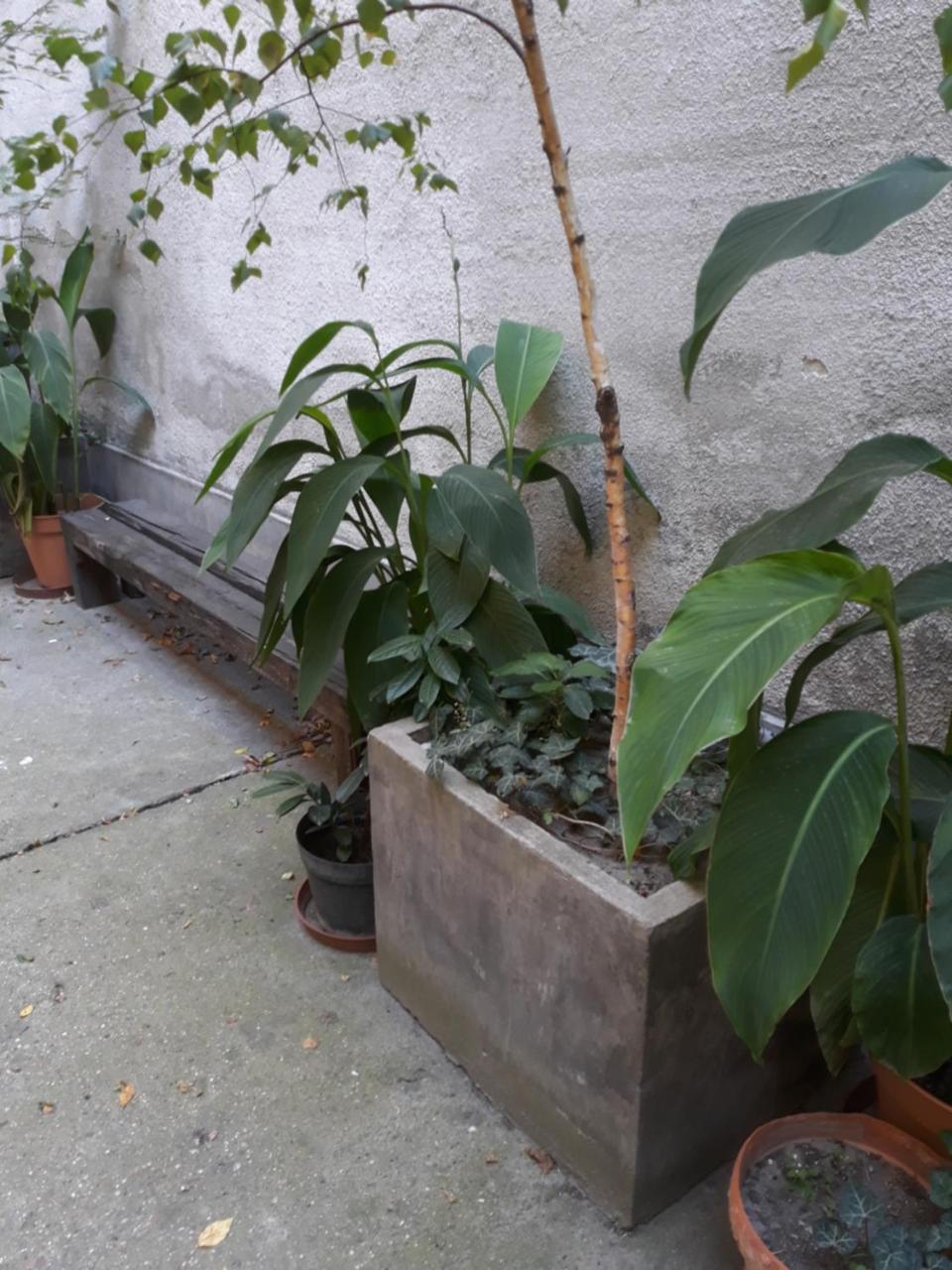 Connection Guesthouse Budapeszt Zewnętrze zdjęcie