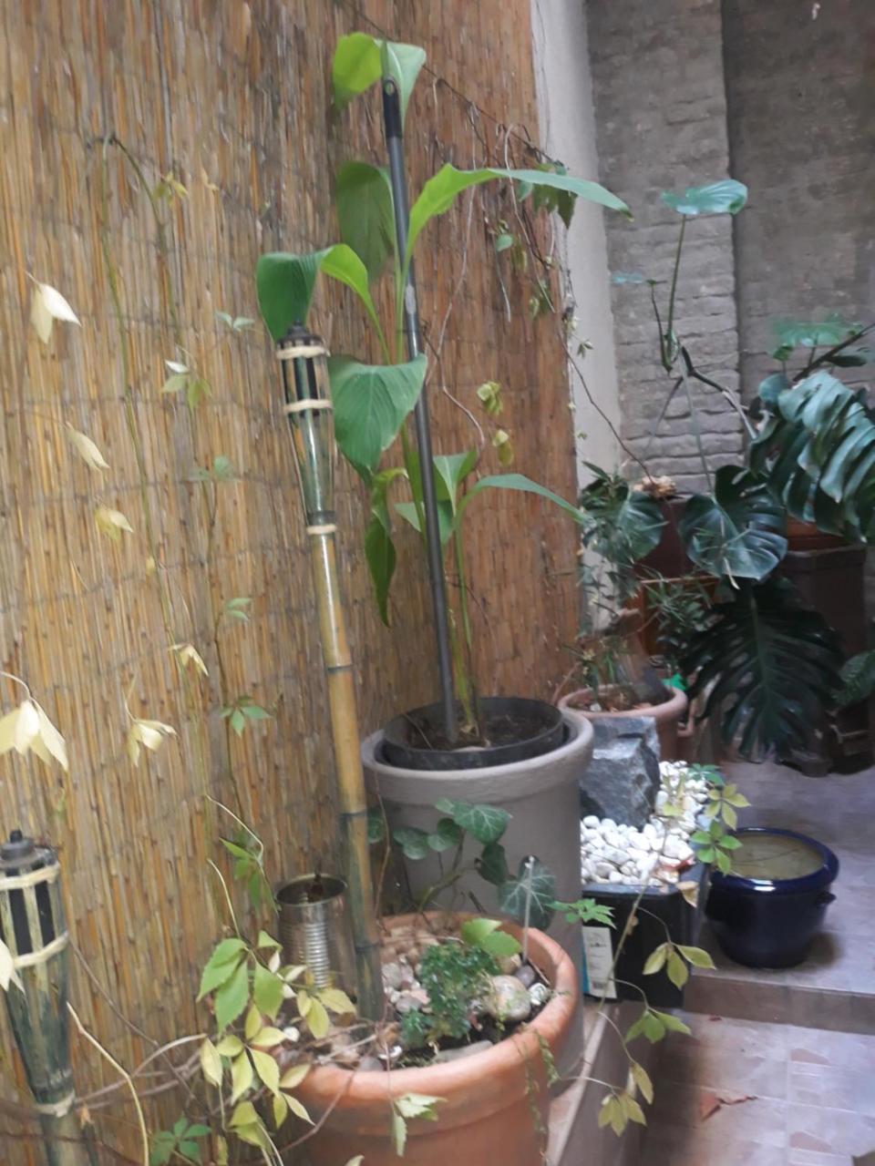 Connection Guesthouse Budapeszt Zewnętrze zdjęcie