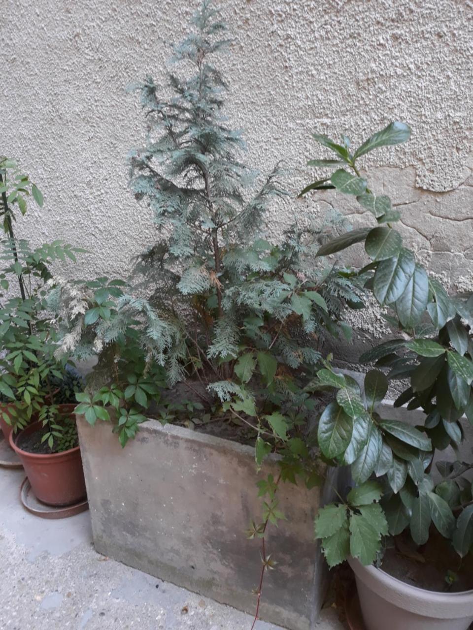 Connection Guesthouse Budapeszt Zewnętrze zdjęcie