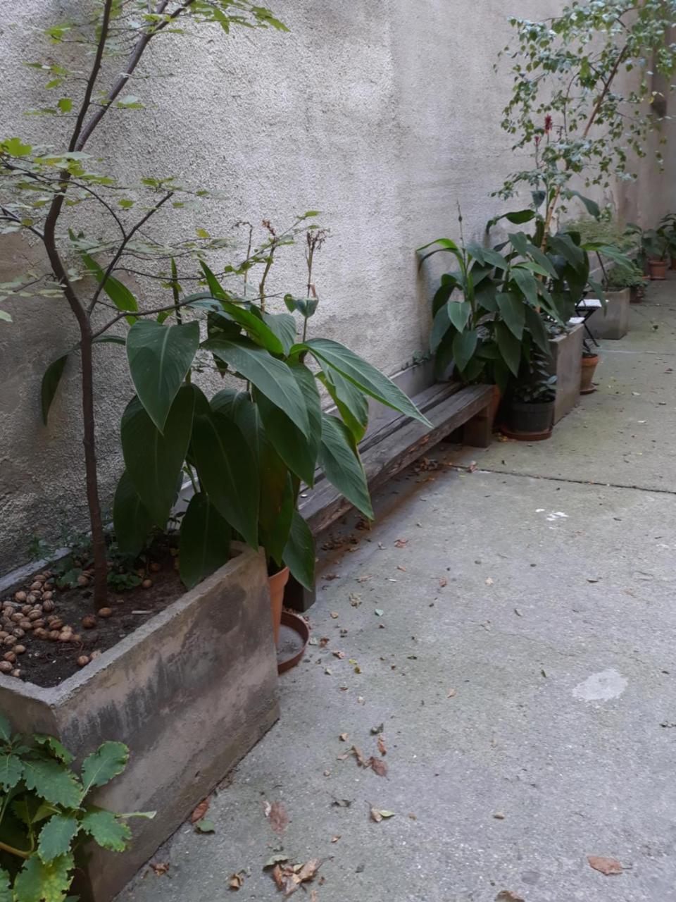 Connection Guesthouse Budapeszt Zewnętrze zdjęcie