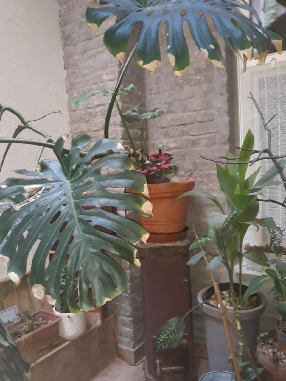 Connection Guesthouse Budapeszt Zewnętrze zdjęcie