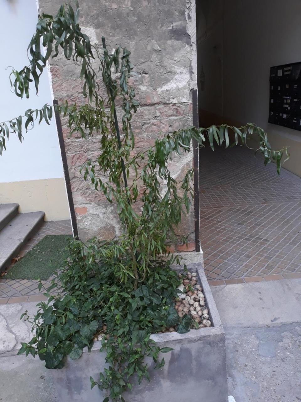 Connection Guesthouse Budapeszt Zewnętrze zdjęcie